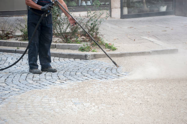 Best Building Exterior Washing  in Edinburg, TX