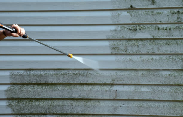 Best Driveway Pressure Washing  in Edinburg, TX