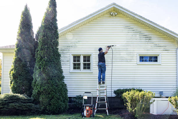 Best House Exterior Washing  in Edinburg, TX